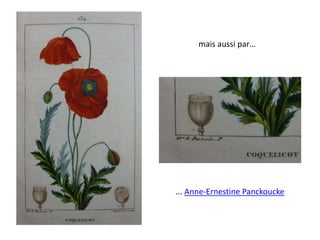 ... Anne-Ernestine Panckoucke
mais aussi par…
 