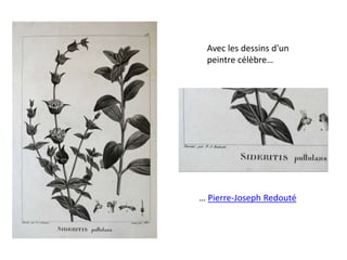 Avec les dessins d'un
peintre célèbre…
… Pierre-Joseph Redouté
 