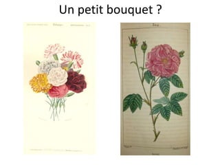 Un petit bouquet ?
 