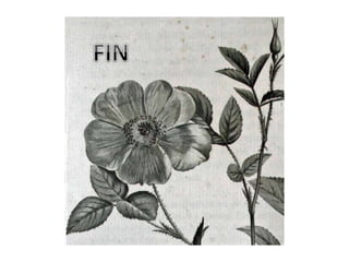 Mercredis Patrimoine : Les fleurs