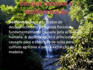 Em que consiste a desflorestação Desflorestação, é o processo de desaparecimento de massas florestais, fundamentalmente causada pela actividade humana. A desflorestação e principalmente causada para a obtenção de solos para cultivos agrícolas e para a extracção de madeira.