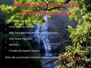Medidas de prevenção da Desflorestação-Reutilizar e reciclar papel;-Criar reservas naturais;-Não fazer piqueniques nem criar fogueiras;-Não lançar foguetes;-Reciclar;-Criação de espaços verdes;Estas são as principais medidas a tomar contra a Desflorestação.