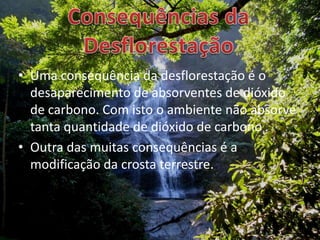 Consequências da DesflorestaçãoUma consequência da desflorestação é o desaparecimento de absorventes de dióxido de carbono. Com isto o ambiente não absorve tanta quantidade de dióxido de carbonoOutra das muitas consequências é a -modificação da crosta terrestre.