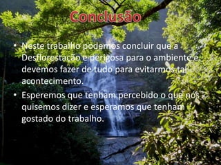 Neste trabalho podemos concluir que a Desflorestação e perigosa para o ambiente e devemos fazer de tudo para evitarmos tal acontecimento.Esperemos que tenham percebido o que nós quisemos dizer e esperamos que tenham gostado do trabalho.Conclusão
