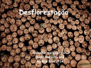Desflorestação




   Trabalho realizado por:
     David Nogueira nº6
      Melissa Silva nº14
 