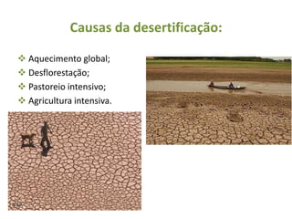 Causas da desertificação:

 Aquecimento global;
 Desflorestação;
 Pastoreio intensivo;
 Agricultura intensiva.
 