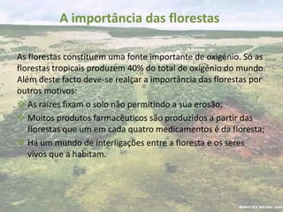 A importância das florestas

As florestas constituem uma fonte importante de oxigénio. Só as
florestas tropicais produzem 40% do total de oxigénio do mundo.
Além deste facto deve-se realçar a importância das florestas por
outros motivos:
 As raízes fixam o solo não permitindo a sua erosão;
 Muitos produtos farmacêuticos são produzidos a partir das
   florestas que um em cada quatro medicamentos é da floresta;
 Há um mundo de interligações entre a floresta e os seres
   vivos que a habitam.
 