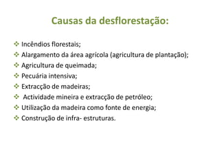 Causas da desflorestação:

 Incêndios florestais;
 Alargamento da área agrícola (agricultura de plantação);
 Agricultura de queimada;
 Pecuária intensiva;
 Extracção de madeiras;
 Actividade mineira e extracção de petróleo;
 Utilização da madeira como fonte de energia;
 Construção de infra- estruturas.
 