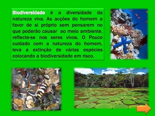 é a diversidade da
natureza viva. As acções do homem a
favor de si próprio sem pensarem no
que poderão causar ao meio ambiente,
reflecte-se nos seres vivos. O Pouco
cuidado com a natureza do homem,
leva a extinção de várias espécies
colocando a biodiversidade em risco.
 
