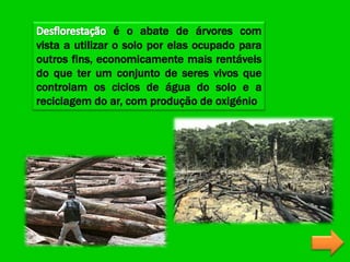 é o abate de árvores com
vista a utilizar o solo por elas ocupado para
outros fins, economicamente mais rentáveis
do que ter um conjunto de seres vivos que
controlam os ciclos de água do solo e a
reciclagem do ar, com produção de oxigénio
 