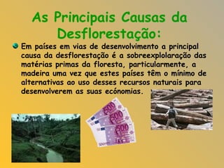 As Principais Causas da Desflorestação: Em países em vias de desenvolvimento a principal causa da desflorestação é a sobreexplolaração das matérias primas da floresta, particularmente, a madeira uma vez que estes países têm o mínimo de alternativas ao uso desses recursos naturais para desenvolverem as suas ecónomias. 