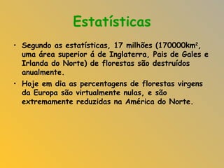 Estatísticas Segundo as estatísticas, 17 milhões (170000km 2 , uma área superior á de Inglaterra, Pais de Gales e Irlanda do Norte) de florestas são destruídos anualmente. Hoje em dia as percentagens de florestas virgens da Europa são virtualmente nulas, e são extremamente reduzidas na América do Norte.  