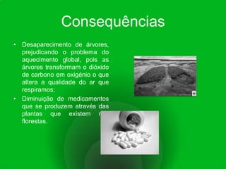 ConsequênciasDesaparecimento de árvores, prejudicando o problema do aquecimento global, pois as árvores transformam o dióxido de carbono em oxigénio o que altera a qualidade do ar que respiramos;Diminuição de medicamentos que se produzem através das plantas que existem nas florestas.