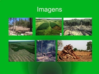 Imagens