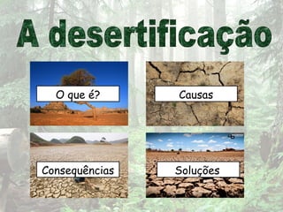 O que é? Causas
Consequências Soluções
 