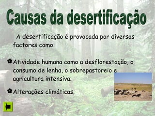 A desertificação é provocada por diversos
factores como:
Atividade humana como a desflorestação, o
consumo de lenha, o sobrepastoreio e
agricultura intensiva;
Alterações climáticas;
 
