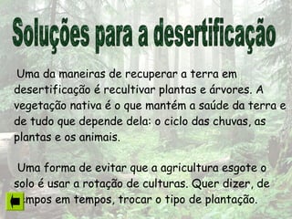 Uma da maneiras de recuperar a terra em
desertificação é recultivar plantas e árvores. A
vegetação nativa é o que mantém a saúde da terra e
de tudo que depende dela: o ciclo das chuvas, as
plantas e os animais.
Uma forma de evitar que a agricultura esgote o
solo é usar a rotação de culturas. Quer dizer, de
tempos em tempos, trocar o tipo de plantação.
 