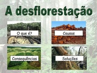 O que é? Causas
Consequências Soluções
 