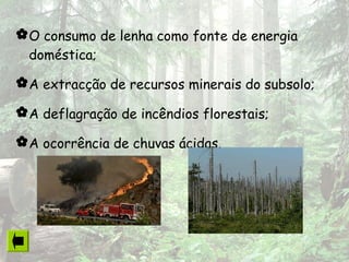 O consumo de lenha como fonte de energia
doméstica;
A extracção de recursos minerais do subsolo;
A deflagração de incêndios florestais;
A ocorrência de chuvas ácidas.
 