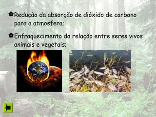Redução da absorção de dióxido de carbono
para a atmosfera;
Enfraquecimento da relação entre seres vivos
animais e vegetais;
 