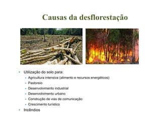 • Utilização do solo para: 
 Agricultura intensiva (alimento e recursos energéticos) 
 Pastoreio 
 Desenvolvimento industrial 
 Desenvolvimento urbano 
 Construção de vias de comunicação 
 Crescimento turístico 
• Incêndios 
Causas da desflorestação 

