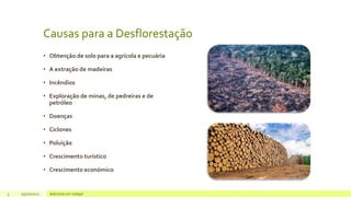 Causas para a Desflorestação
• Obtenção de solo para a agrícola e pecuária
• A extração de madeiras
• Incêndios
• Exploração de minas, de pedreiras e de
petróleo
• Doenças
• Ciclones
• Poluição
• Crescimento turístico
• Crescimento económico
3 05/10/2021 Adicione um rodapé
 