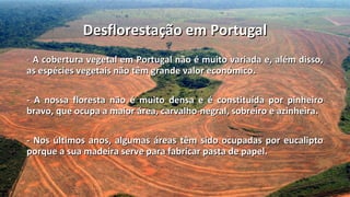 Desflorestação em Portugal
- A cobertura vegetal em Portugal não é muito variada e, além disso,
as espécies vegetais não têm grande valor económico.

- A nossa floresta não é muito densa e é constituída por pinheiro
bravo, que ocupa a maior área, carvalho-negral, sobreiro e azinheira.

- Nos últimos anos, algumas áreas têm sido ocupadas por eucalipto
porque a sua madeira serve para fabricar pasta de papel.
 