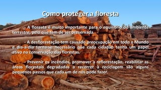 Como proteger a floresta
      - A floresta é muito importante para o equilíbrio do ambiente
terrestre, pelo que tem de ser preservada.

      - A desflorestação tem causado preocupação em todo o Mundo
e dia-a-dia torna-se necessário que cada cidadão tenha um papel
ativo na conservação das florestas.

      - Prevenir os incêndios, promover a reflorestação, reabilitar as
áreas florestais degradadas a recorrer à reciclagem são alguns
pequenos passos que cada um de nós pode fazer.
 