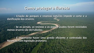Como proteger a floresta
      - Criação de parques e reservas naturais impede o corte e a
danificação das árvores;

    - Se os jornais, as revistas e os papéis usados forem reciclados
menos árvores são derrubadas;

       - É importante haver uma gestão eficiente e controlada das
florestas, com legislação protetora.
 