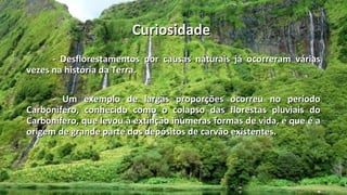 Curiosidade
      - Desflorestamentos por causas naturais já ocorreram várias
vezes na história da Terra.

      - Um exemplo de largas proporções ocorreu no período
Carbonífero, conhecido como o colapso das florestas pluviais do
Carbonífero, que levou à extinção inúmeras formas de vida, e que é a
origem de grande parte dos depósitos de carvão existentes.
 