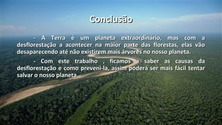 Conclusão
       - A Terra é um planeta extraordinário, mas com a
desflorestação a acontecer na maior parte das florestas, elas vão
desaparecendo até não existirem mais árvores no nosso planeta.
       - Com este trabalho , ficamos a saber as causas da
desflorestação e como preveni-la, assim poderá ser mais fácil tentar
salvar o nosso planeta.
 