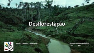 Desflorestação


Escola EB23 de Gondomar       Catarina Pereira de Queiróz
                                5ºC       Nº1
 