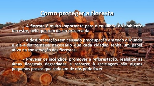Desflorestação