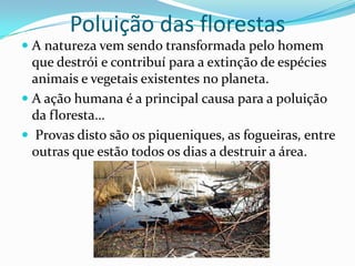 Poluição das florestas
 A natureza vem sendo transformada pelo homem
  que destrói e contribuí para a extinção de espécies
  animais e vegetais existentes no planeta.
 A ação humana é a principal causa para a poluição
  da floresta…
 Provas disto são os piqueniques, as fogueiras, entre
 outras que estão todos os dias a destruir a área.
 