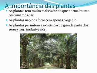 A importância das plantas
 As plantas tem muito mais valor do que normalmente
  costumamos dar.
 As plantas não nos fornecem apenas oxigénio.
 As plantas permitem a existência de grande parte dos
  seres vivos, inclusive nós.
 