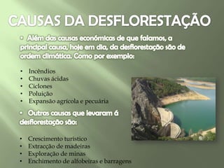 • Incêndios
• Chuvas ácidas
• Ciclones
• Poluição
• Expansão agrícola e pecuária
• Crescimento turístico
• Extracção de madeiras
• Exploração de minas
• Enchimento de alfobeiras e barragens
 