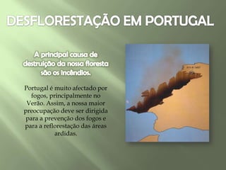 Portugal é muito afectado por
fogos, principalmente no
Verão. Assim, a nossa maior
preocupação deve ser dirigida
para a prevenção dos fogos e
para a reflorestação das áreas
ardidas.
 