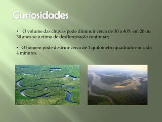 • O volume das chuvas pode diminuir cerca de 30 a 40% em 20 ou
30 anos se o ritmo de desflorestação continuar;
• O homem pode destruir cerca de 1 quilómetro quadrado em cada
4 minutos.
 