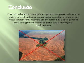 Com este trabalho nós conseguimos aprender um pouco mais sobre os
perigos da desflorestação e como a podemos evitar e esperamos que
vocês tambem tenham aprendido um pouco mais e que a partir de
agora consigam tomar simples gestos para a prevenção da
desflorestação.
 