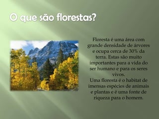 Floresta é uma área com
grande densidade de árvores
e ocupa cerca de 30% da
terra. Estas são muito
importantes para a vida do
ser humano e para os seres
vivos.
Uma floresta é o habitat de
imensas espécies de animais
e plantas e é uma fonte de
riqueza para o homem.
 