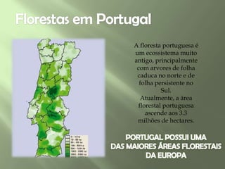 A floresta portuguesa é
um ecossistema muito
antigo, principalmente
com arvores de folha
caduca no norte e de
folha persistente no
Sul.
Atualmente, a área
florestal portuguesa
ascende aos 3.3
milhões de hectares.
 