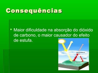 Consequências
 Maior dificuldade na absorção do dióxido
de carbono, o maior causador do efeito
de estufa.

 