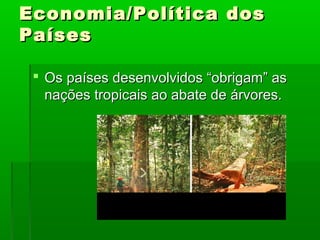 Economia/Política dos
Países
 Os países desenvolvidos “obrigam” as
nações tropicais ao abate de árvores.

 
