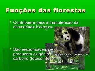 Funções das florestas
 Contribuem para a manutenção da
diversidade biológica.

 São responsáveis pela purificação do ar,
produzem oxigénio a partir do dióxido de
carbono (fotossíntese)

 