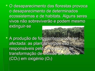  O desaparecimento das florestas provoca
o desaparecimento de determinados
ecossistemas e de habitats. Alguns seres
vivos não sobreviverão e podem mesmo
extinguir-se
 A produção de fotossíntese pode ser
afectada: as plantas verdes são
responsáveis pelo processo de de
transformação de dióxido de carbono
(CO2) em oxigénio (O2)

 
