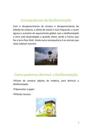 Consequências da Desflorestação
Com o desaparecimento de árvores o desaparecimento do
dióxido de carbono, o efeito de estufa é mais frequente, e assim
agrava o aumento do aquecimento global; com a desflorestação
a terra está desprotegida e quando chove, perde o húmus que
faz a terra ficar fértil. Ainda outra consequência é os animais que
nelas habitam morrem.




 Como podemos diminuir a Desflorestação
Evitar de comprar objetos de madeira, para diminuir a
Desflorestação

Aproveitar o papel

Plantar árvores




                                                                  5
 
