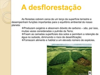 A desflorestação
As florestas cobrem cerca de um terço da superfície terrestre e
desempenham funções importantes para o equilíbrio ambiental do nosso
planeta:
Produzem oxigénio e absorvem dióxido de carbono – são, por isso,
muitas vezes consideradas o pulmão da Terra;
Fixam as camadas superficiais dos solos e permitem a retenção de
água no subsolo, diminuindo o risco de desertificação;
Fornecem alimento e habitat a um elevado número de espécies.
 