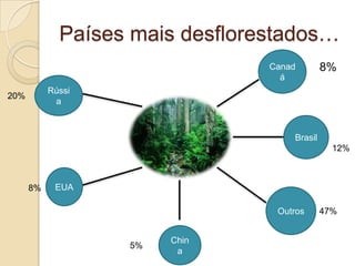 Países mais desflorestados…
Canad
á
8%
Brasil
12%
Outros 47%
Chin
a
5%
EUA8%
Rússi
a
20%
 