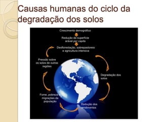Causas humanas do ciclo da
degradação dos solos
 