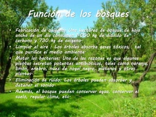 Función de los bosques
• Fabricación de oxígeno: Una hectárea de bosque de hoja
ancha de un día consumen 1.000 kg de dióxido de
carbono y 730 kg de oxígeno.
• Limpiar el aire : Los árboles absorbe gases tóxicos, tal
que purifica el medio ambiente.
• Matar las bacterias: Una de las razones es que algunas
plantas secretan potentes antibióticos, tales como naranja,
limón, enebro, nuez de nogal negro, plátanos y otras
plantas.
• Eliminación de ruido: Los árboles pueden absorber y
detener el sonido.
• Además, el bosque pueden conservar agua, conservar el
suelo, regular clima, etc.
 
